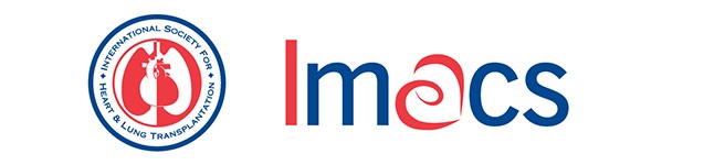 Logo banner for IMACS